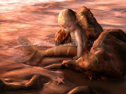 images (6)